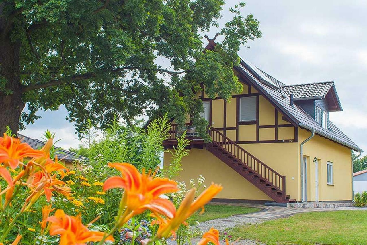 Ferienwohnungen Am Roten Nil Lubben Exterior photo